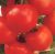 Tomatoes Baritone