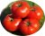 Tomatoes Texas F1