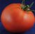 Tomatoes Early Dubinin