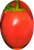 Tomatoes Dual Earley F1