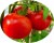Tomatoes Michurinsky