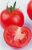 Tomatoes Clavero F1