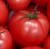 Tomatoes Baron F1