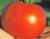 Tomatoes Abigail F1