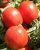 Tomatoes Albarossa F1