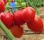 Tomatoes Budenovets F1